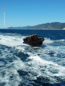 Il gommone con una squadra di incursori della Marina del GOI durante l'abbordaggio alla nave