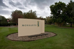 monsanto_company