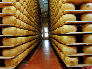 1024px-Parmigiano_reggiano_factory