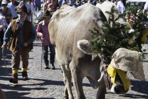 Italy, Trentino, S.Martino di Castrozza, Primiero, Gran Festa del Desmontegar