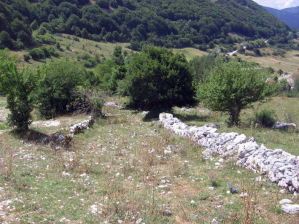 Il tratturo dell’alto Sangro, nei pressi di Opi, mantiene ancora ben visibili i confini segnati da siepi, alberi e muretti in pietra a secco