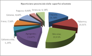 Lo schema della ripartizione del comparto di olicoltura in Sicilia