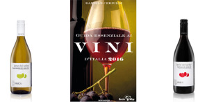 vini_Vinica_masman