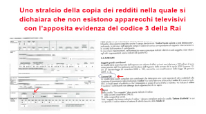 stralcio_dichiarazione dei redditi-rai