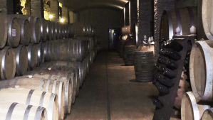 La cantina dove viene conservato il vino nelle botti di rovere