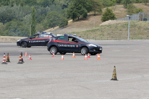 Le Forze di Sicurezza, come polizia e carabinieri, sono sottoposte a dei corsi di guida sicura in apposite strutture in circuito chiuso. Sarebbe opportuno estendere questi corsi di perfezionamento alla guida anche ai neio-patentati, prima del conseguimento della patente di guida.